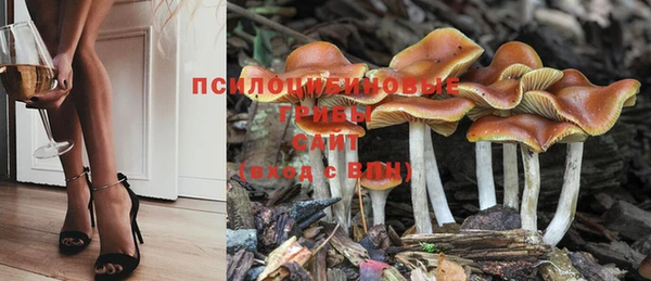 метадон Алексин