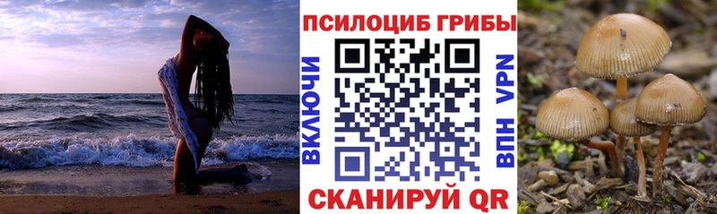 Псилоцибиновые грибы прущие грибы  Николаевск-на-Амуре 